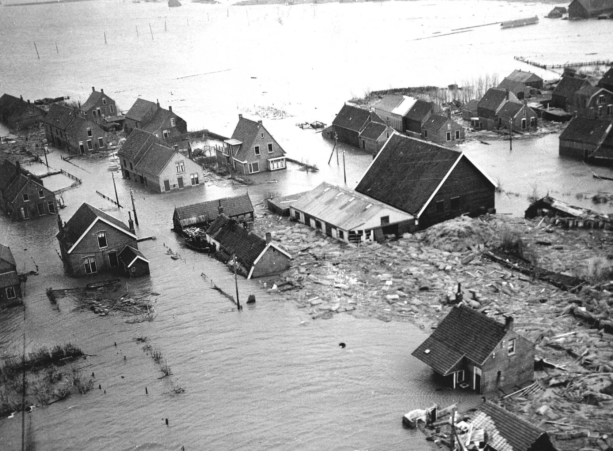 Leon de Winter über den Zustand der Niederlande: «Eine Minderheit diktiert die Politik»