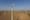 Will 2019 See Climate Maturity?