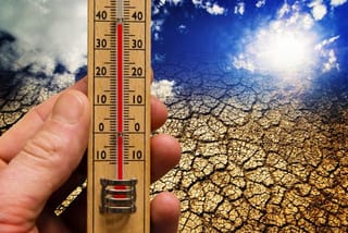 Cargo Cult Climate Economics
